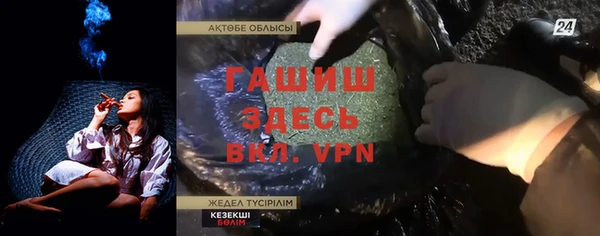 стаф Алзамай