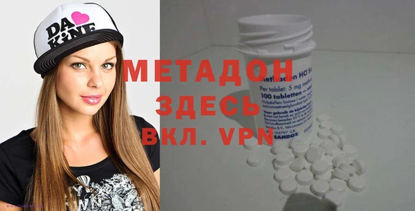 стаф Алзамай
