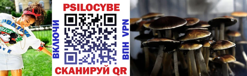 Псилоцибиновые грибы Psilocybe Бокситогорск