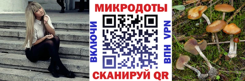 Псилоцибиновые грибы Cubensis  цены   Бокситогорск 