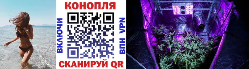 omg ONION Бокситогорск МАРИХУАНА THC 21%
